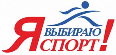 Губернатор пообещал поддержать спортивные клубы, испытывающие финансовые затруднения 