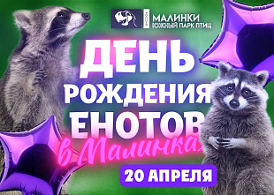 Южный парк «Малинки» устраивает праздничные выходные
