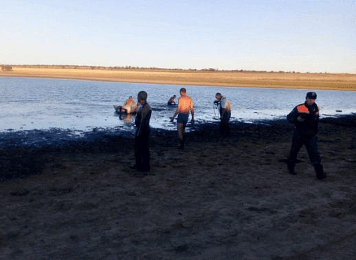 В Морозовском районе из-за жары прудовая рыба поменяла «местожительство»