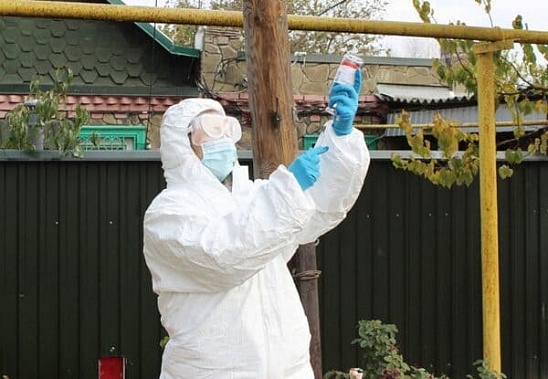 Фото пресс-службы управления ветеринарии Ростовской области