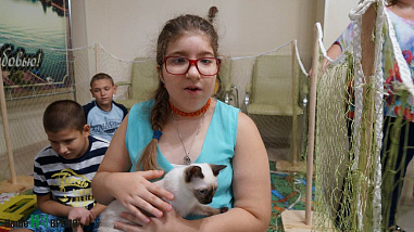 Как кошки-крошки в «Дружбе» выступали