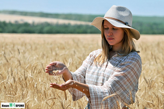 Санкции помешали донским аграриям распродать прошлогодний урожай пшеницы