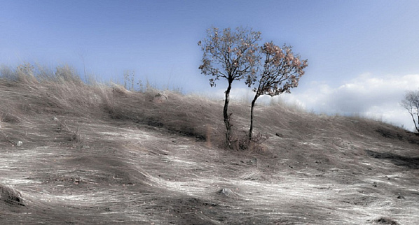 Источник фото: 