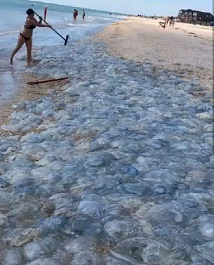 Источник фото: trip-for-the-soul.ru.