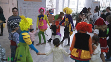 Как кошки-крошки год Собаки встречали