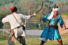 В Ростовской области в 17-й раз прошёл военно-исторический фестиваль «Осада Азова»