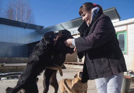 "Когда ты спасаешь животных  -это подвиг вдвойне..."