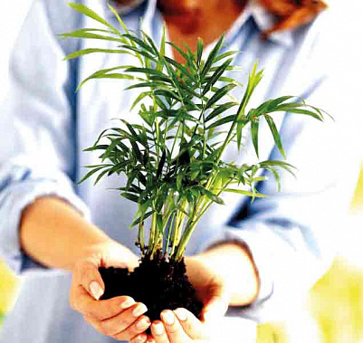 На личном опыте