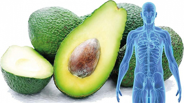 У авокадо есть антираковые свойства