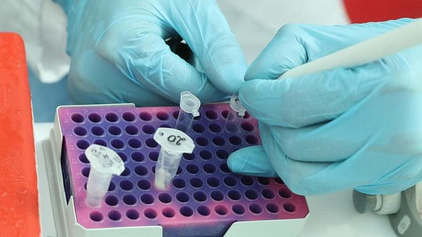 С начала пандемии на Дону выявили более 70 тысяч случаев COVID-19