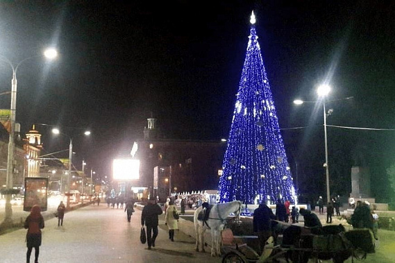 Новогоднюю елку в Ростове откроют 28 декабря