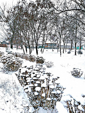 После первого снега