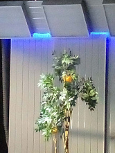  В Новошахтинском драматическом театре имени М.И.Бушнова премьера «Соляриса»