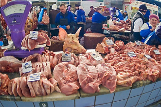 Животноводство Ростовской области сохраняет свой потенциал