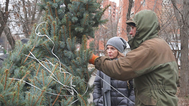 Елки возвращаются