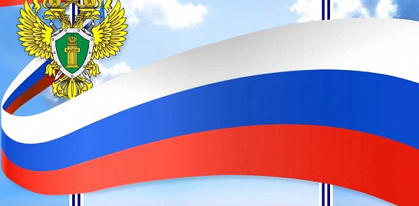 В Правилах оказания услуг почтовой связи есть изменения