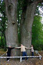 Вешенская, как и Париж, стоит мессы