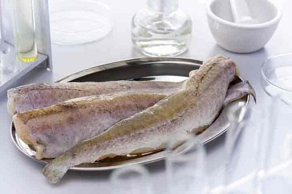 Антисептик из минтая