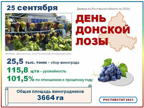 «Донская лоза» в этом году снова отменена