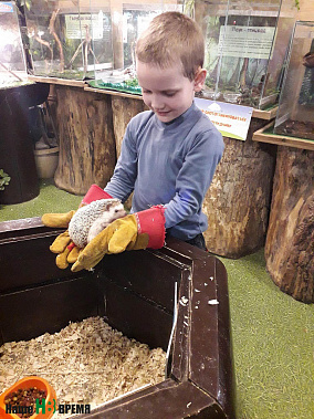 Где же познакомиться городскому ребенку с животными, как не здесь.