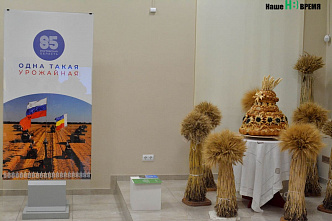 Ростовская область – краса и гордость