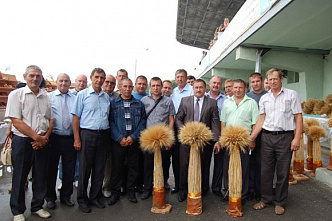 Работать до «золотой жатвы»_24261