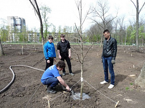 Налогоплательщик желает знать…_21391