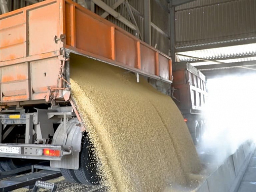 Фото: apkholding.ru