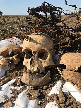 Донские поисковики нашли погибшего бойца под слоем колючей проволоки
