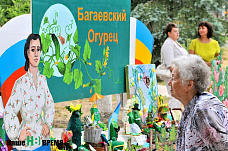 В станице Багаевской прошел юбилейный «День огурца»