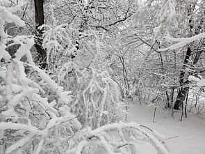 Погода на неделю