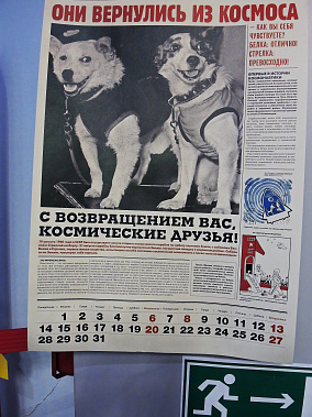  Они первыми совершили орбитальный полёт и вернулись невредимыми...