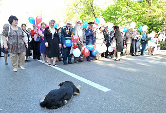 День Победы-2013 в Ростове-на-Дону_21914