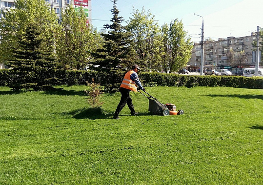 На покос газонов и борьбу с сорняками в Ростове выделили 110 миллионов рублей