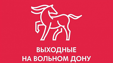 Проголосуем за «Выходные на Вольном Дону»!