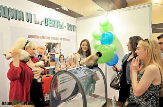 «Южная медиасфера»