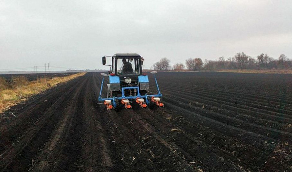 На Дону подходят к концу осенние полевые работы