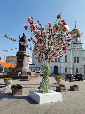 «Красота» к юбилею