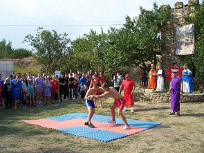 Дельфин над Танаисом