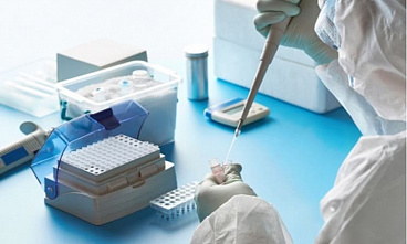 В Ростовской области за сутки зарегистрировали 387 новых случаев COVID-19 и всего 8 случаев гибели от него
