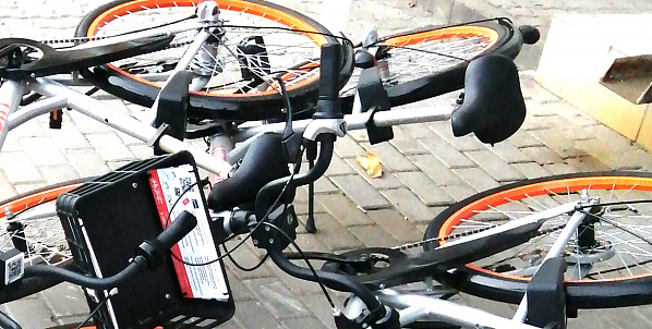 Воруют в Ростове велосипеды не только подростки...