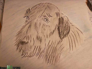 Ты молодец, Даня!