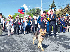 День Победы 2012 года_14038