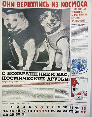 Харе, Белка,  Харе, Стрелка!
