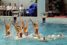 В достойном соперничестве