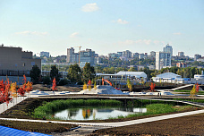Строительство на левом берегу Дона нарушает законы природы