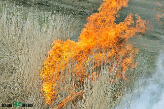 Спасатели, пожарные, волонтеры...
