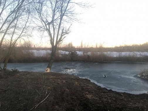 В Ростовской области в реке утонули две девочки