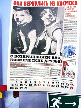  Белка и Стрелка: они вернулись и улыбались!