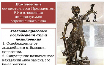 Президент России помиловал двух осужденных жителей Дона